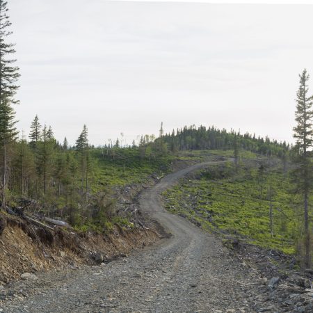 Coupe sur les sommets de la réserve Matane