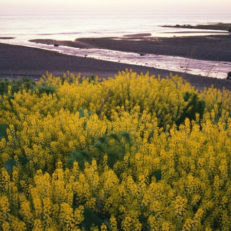 Rivière Blanche